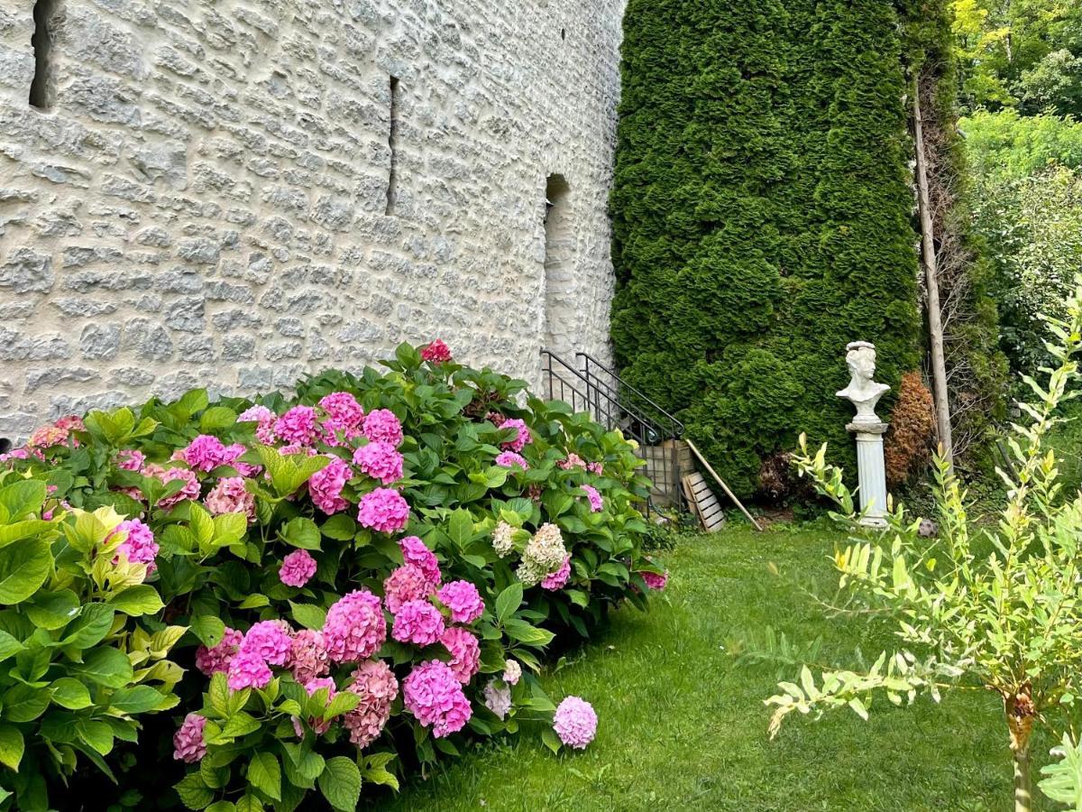 Bed and Breakfast Manoir Saint-Pierre Villersexel Exteriér fotografie